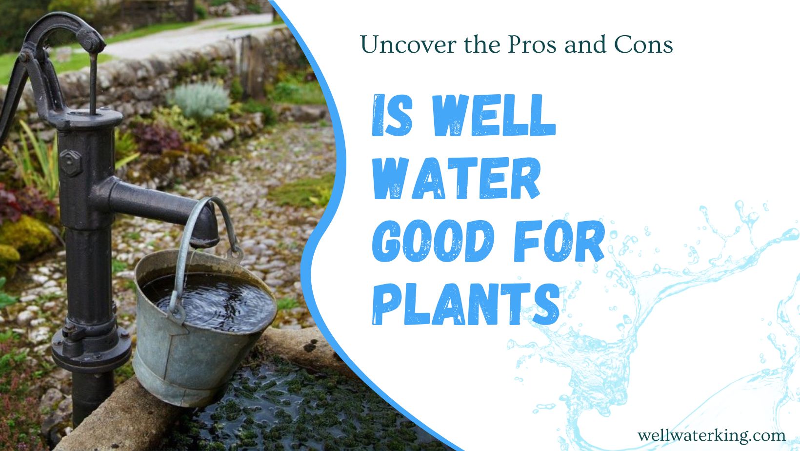 Is Well Water Good for Plants? Uncover the Pros and Cons.